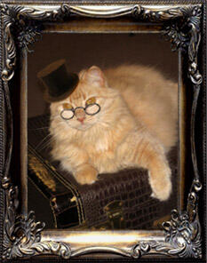 Oni the Cat, the fictional author and narrator of the Bramble & Briar story. Our Author - Oni The Cat - a fluffy feline of furiously fickle temperament, draped upon an antique suitcase made of alligator, and wearing spectacles and a small top hat.